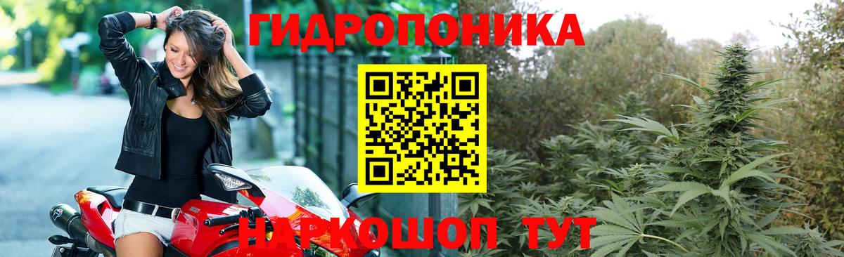 Марихуана SATIVA & INDICA  Шишки марихуана планчик  Вход с VPN  Ухта  Бошки марихуана OG Kush 